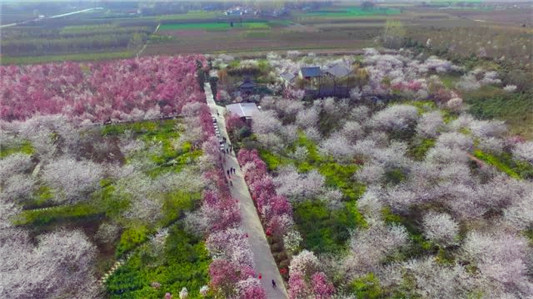 華全牌120kw玉柴系列發(fā)電機組在河南許昌賞花