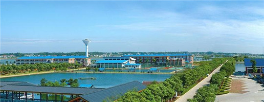 專業巡檢，熱心服務!華全發電機組助力養殖企業溫暖過冬!